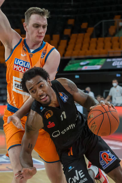 不乏象郑智 不乏象郑智